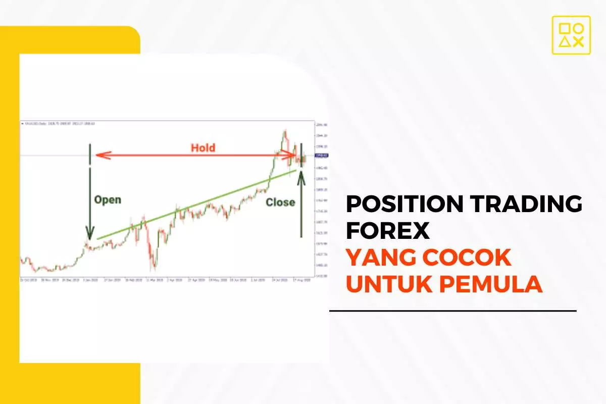 Position Trading Forex yang Cocok untuk Pemula